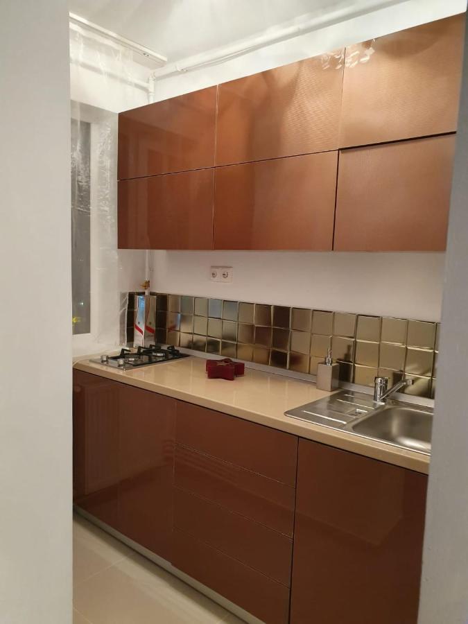 Garsoniera Mihaela Appartement Deva Buitenkant foto