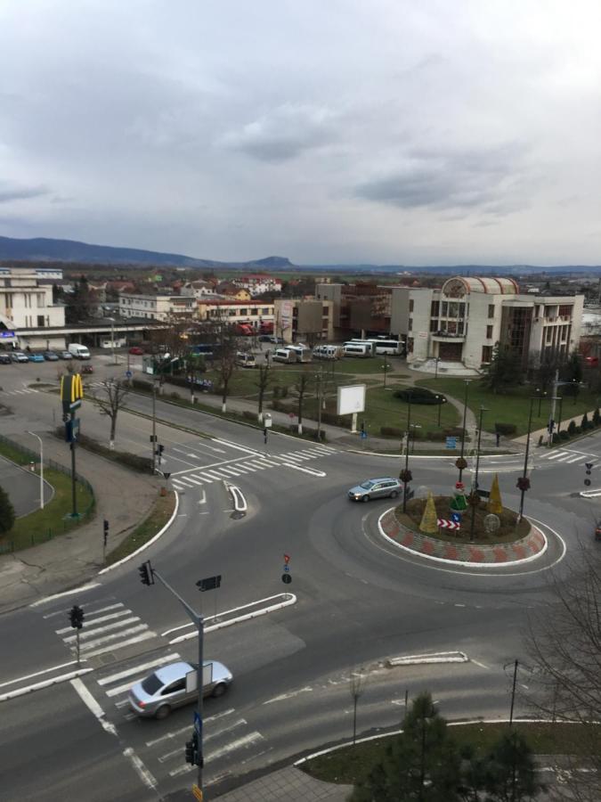 Garsoniera Mihaela Appartement Deva Buitenkant foto
